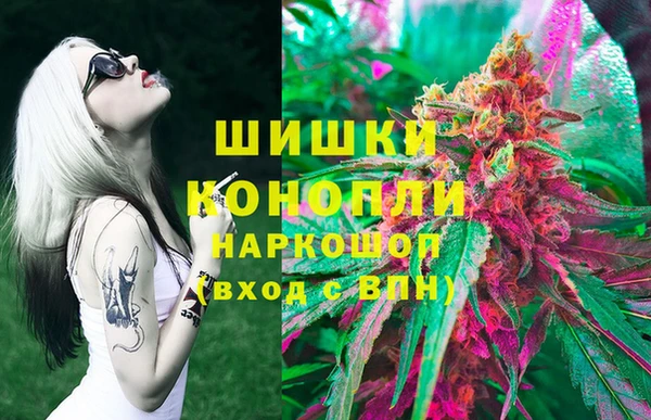 прущие грибы Алзамай