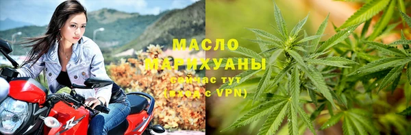 прущие грибы Алзамай