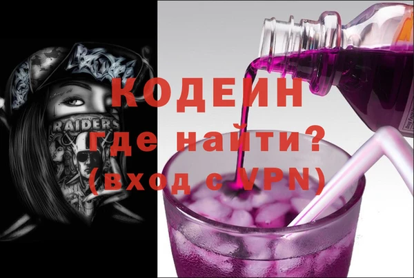 прущие грибы Алзамай
